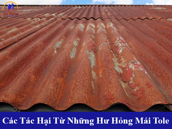 Các tác hại từ những hư hỏng mái tole
