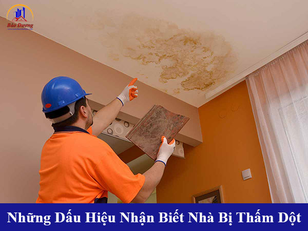 Những dấu hiệu nhận biết nhà bị thấm dột