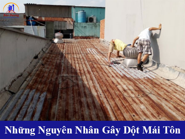 Những nguyên nhân gây dột mái tôn