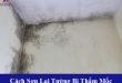 Cách sơn lại tường bị thấm mốc, tường bị nứt, tường nhà có vết bẩn