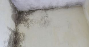 Cách sơn lại tường bị thấm mốc, tường bị nứt, tường nhà có vết bẩn
