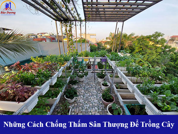 Những cách chống thấm sân thượng để trồng cây tránh bị thấm trong lâu dài